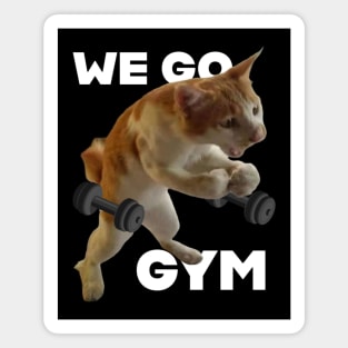 We go Gym, Motivation Magnet